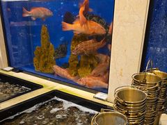 -第六季自助餐厅(北太平庄店)