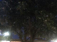 -鹤庆人家·特色大理菜(羊仙坡店)