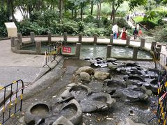 -成都市活水公园