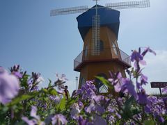 -兴芮温泉度假区