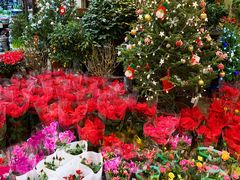 -双季花艺园艺市场(浦东店)