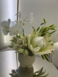 -明潪Selfology升维护理中心