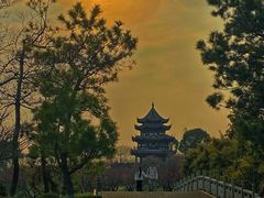 -上海海湾国家森林公园