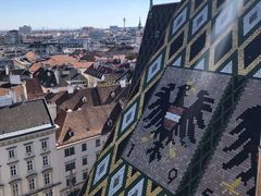 -斯蒂芬主教座堂(Stephansdom)