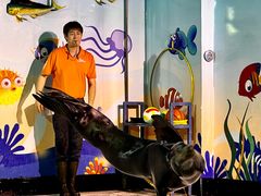 -太平洋海底世界