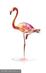 -Easy Lady美甲美睫半永久纹绣工作室