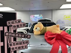 -上海浦东smart汽车全功能店(金桥店)