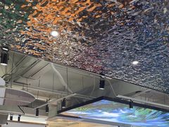 -探窝·竹笙椰子鸡(杨箕店)