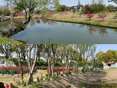 -嘉北郊野公园