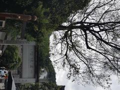 -十里琅珰