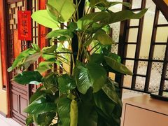 -西贝(六里桥旗舰店)