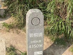 -梧桐山风景名胜区