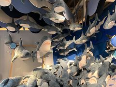 -宜家家居(四元桥商场店)