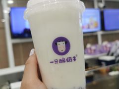 -一只酸奶牛(八一路店)