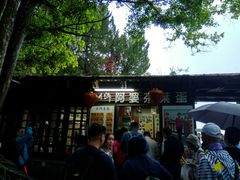 门面-金盆阿嬷香菇茶叶蛋(玄光店)