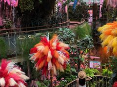 -正佳雨林生态植物园