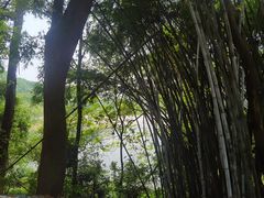 -火炉山森林公园