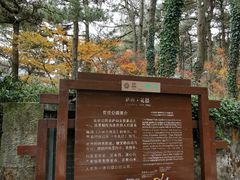 -庐山风景区花径公园