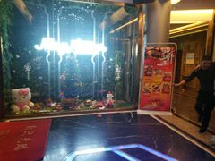 -五月花(朝阳南大街店)