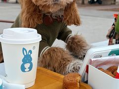 -小意思咖啡店(草桥店)