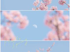 -上海辰山植物园