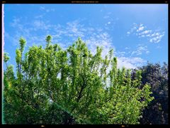 -树山生态村