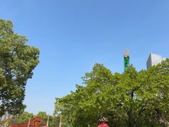 -南湖梦幻岛