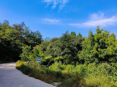 -北京西山国家森林公园