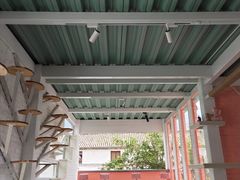 大堂-喵屿·大理花园猫咖