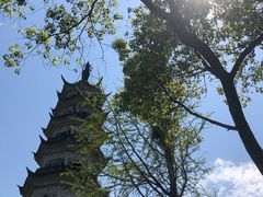 -苏州上方山国家森林公园