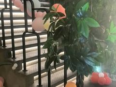 -新紫霞养生·影院足道·SPA(金山区店)