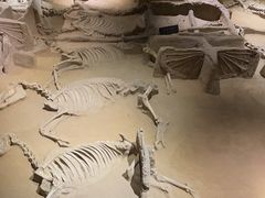 -洛阳周王城天子驾六博物馆