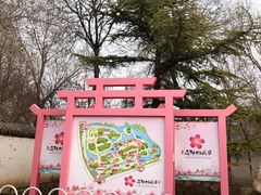 -桃花堤公园