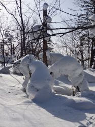 -大秃顶子山