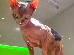 -乐宠宠物店(世纪金源店)