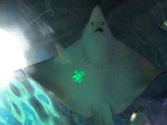 -常州海昌海洋探索馆