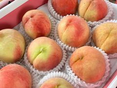 -南汇水蜜桃采摘(大团店)