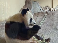 -宁波野生动物园
