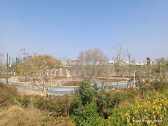 -五甲塘生态湿地公园