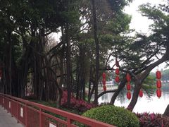 -荔湾湖公园