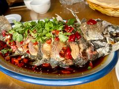 -微山岛春天里酒家