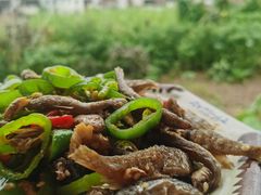 -逢缘柴火农家乐(连南店)