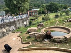 -无锡动物园·太湖欢乐园