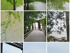 -上海吴淞炮台湾国家湿地公园