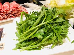 -乔先生涮肉·鲜活牛羊肉火锅(塘沽店)