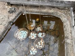 -天芳悦潭度假村温泉