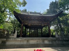 -汇龙潭