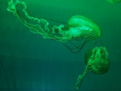 -多彩贵州城极地海洋世界