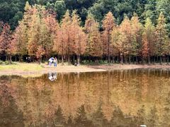 -番禺大夫山森林公园