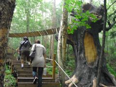 -五营红松林海景区